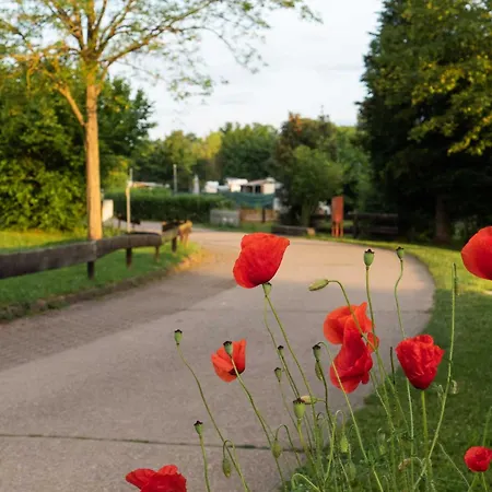 Ferienhaus Sleep Space 1 - Tiny Spot Südpfalz