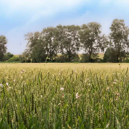 Sleep Space 1 - Tiny Spot Südpfalz Ferienhaus