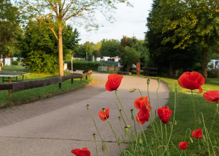 בית נופש Sleep Space 1 - Tiny Spot Suedpfalz