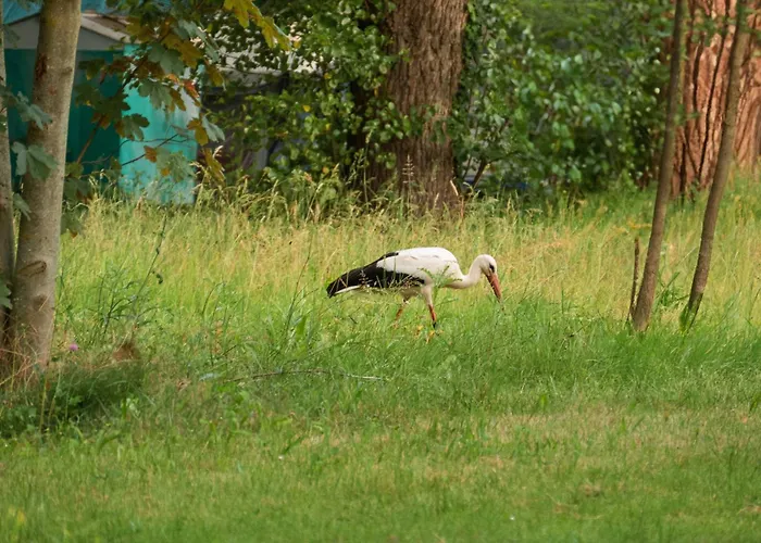 Sleep Space 1 - Tiny Spot Suedpfalz * Rülzheim