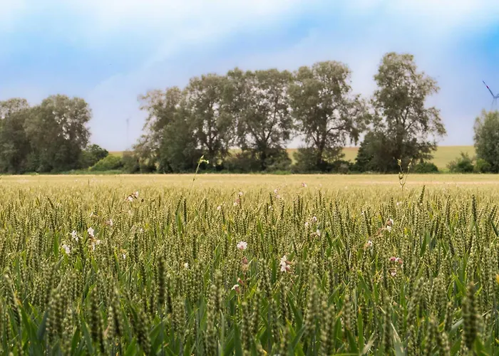 Sleep Space 1 - Tiny Spot Suedpfalz בית נופש