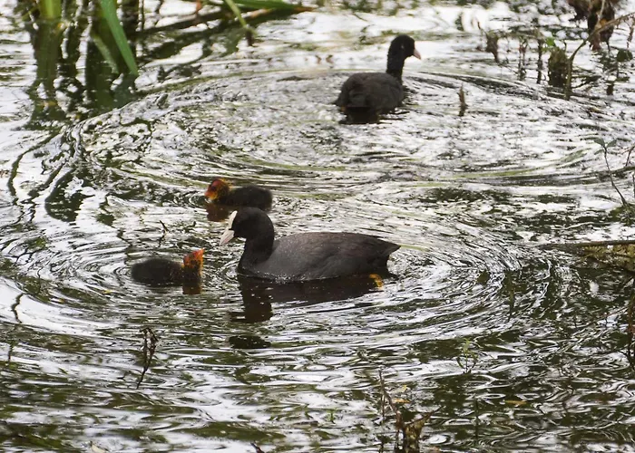 Sleep Space 1 - Tiny Spot Suedpfalz בית נופש